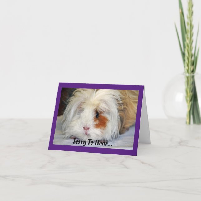 Get Well Guinea Pig Greeting Card (Front)