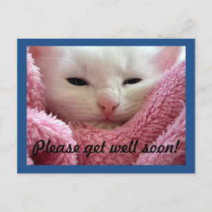 Get Well Kitten Postcard