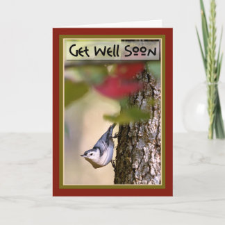 Get Well - Nuthatch Greeting Card