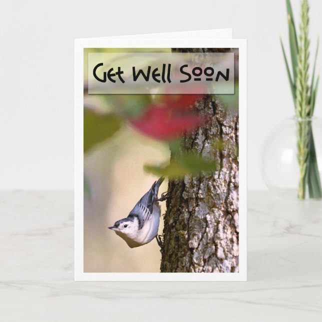 Get Well - Nuthatch Greeting Card (Front)