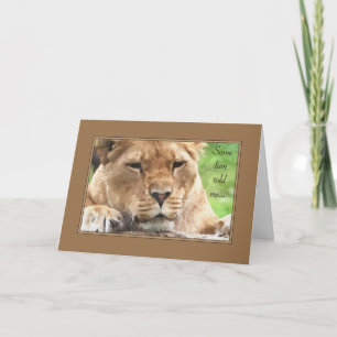 Get Well Painted Lioness Card