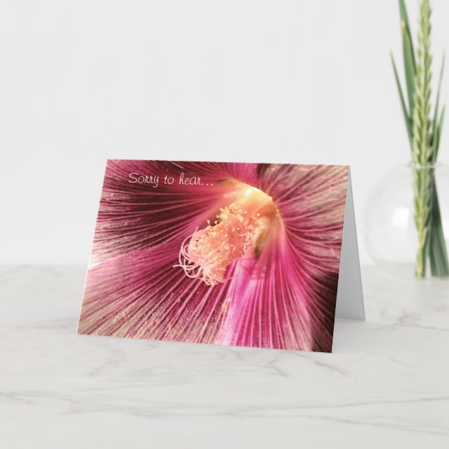Get Well Pink Holly Hock Flower Card (Front)