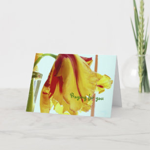 Get Well Prayer Card