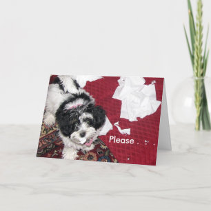 Get Well Puppy  . Card