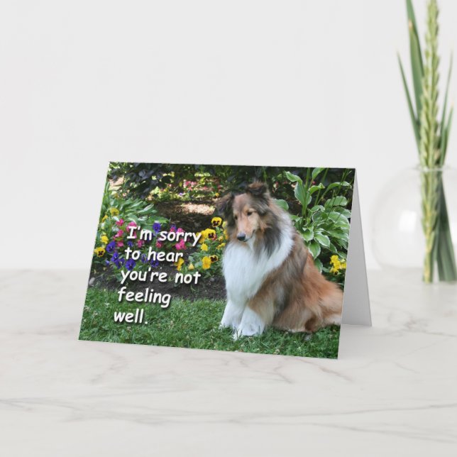 Get Well Sheltie Card (Front)