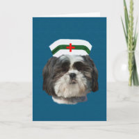 Get Well, Shih Tzu Dog