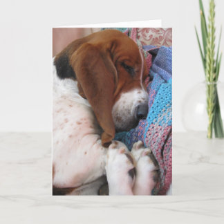 Get Well Soon Basset Hound Card