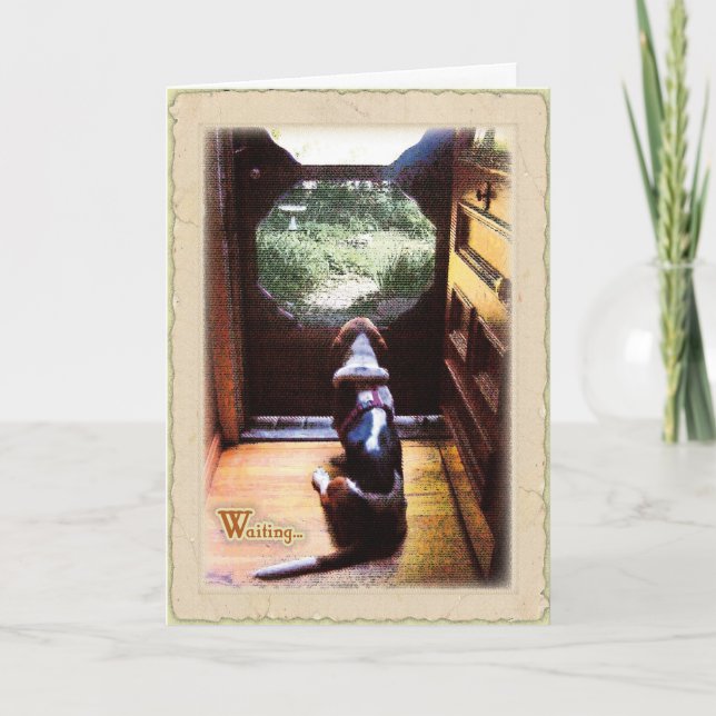 Get well soon  -Basset Hound Card (Front)