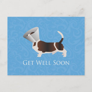 Get Well Soon - Basset Hound Male Postcard