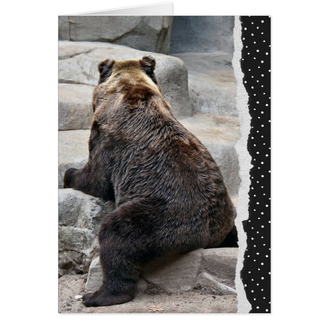 Get Well Soon Bear (Front)