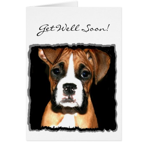 Get well soon Boxer Puppy greeting card | Zazzle