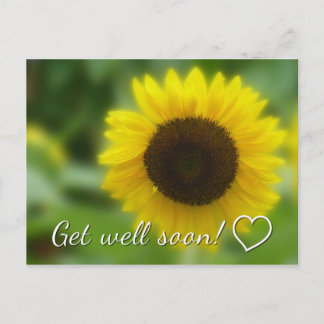 Get well soon: Bright and cheerful sunflower Postcard