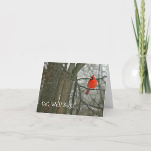 "GET WELL SOON"/BRIGHT RED CARDINAL ON TREE BRANCH CARD