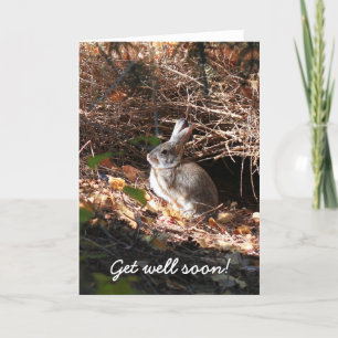 Get Well Soon Bunny Rabbit Greeting Card