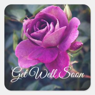 Get Well Soon Burgundy Iceberg #2-2 Stickers