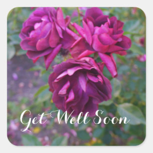 Get Well Soon Burgundy Iceberg Rose #3 Stickers