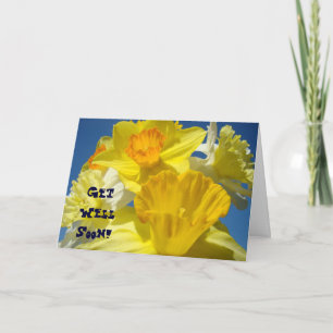 Get Well Soon! Cards Bright Yellow Daffodil Flower