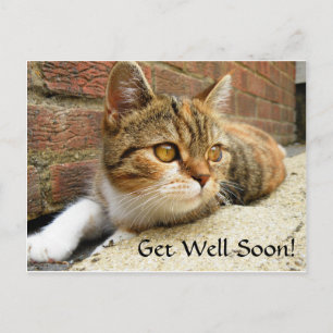 Get well soon Cat Card