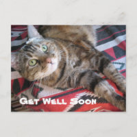Get Well Soon Cat
