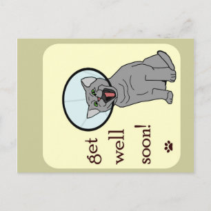 Get Well Soon   Cat with Cone Postcard