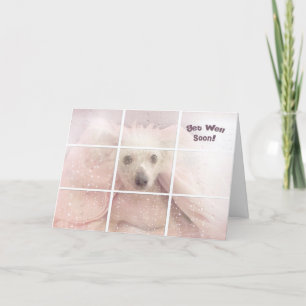 Get Well Soon-Chinese Crested Hairless Dog Card