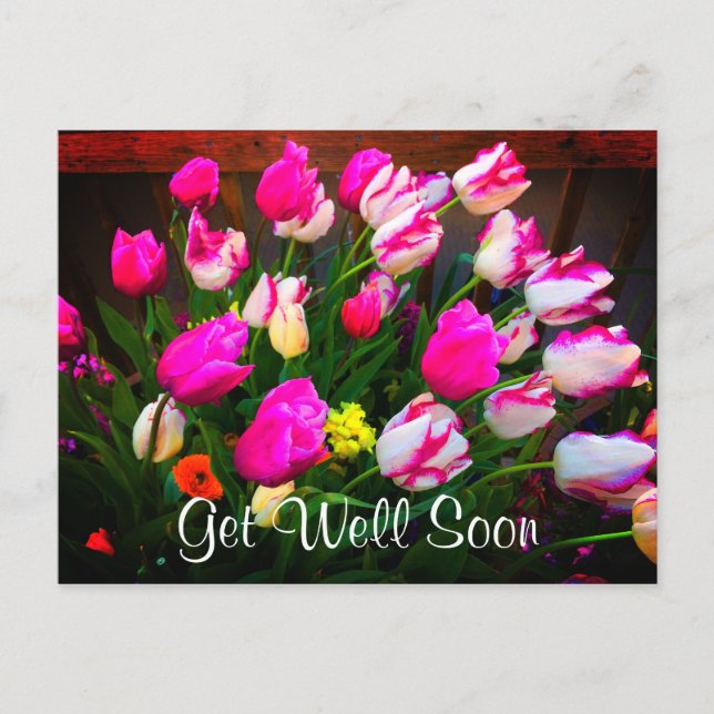 Get Well Soon Christmas Dream and Affaire #1 Postcard (Front)