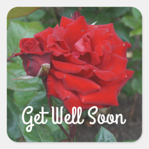 Get Well Soon Crimson Bouquet Rose #2 Stickers