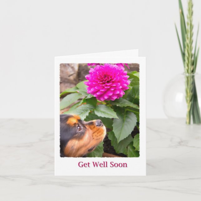 Get Well Soon Dahlia and Cavalier King Charles Card (Front)