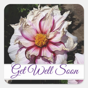 Get Well Soon Dahlia Edge of Joy #1 Stickers