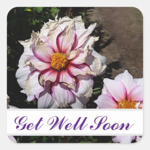Get Well Soon Dahlia Edge of Joy #1 Stickers