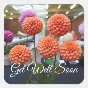 Get Well Soon Dahlia Rose Toscano #1-1 Stickers