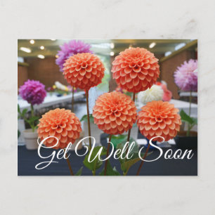 Get Well Soon Dahlia Rose Toscano #1 Postcard