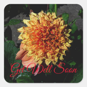 Get Well Soon Dahlia Sandia Brocade #1 Square Sticker