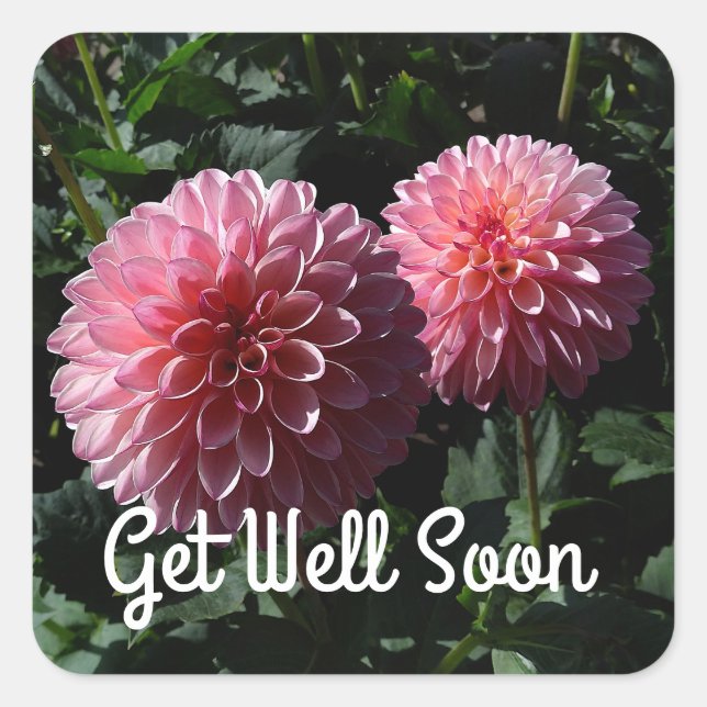 Get Well Soon Dahlia Valley Porcupine #1 Stickers (Front)