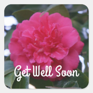 Get Well Soon Daikagura Red Camellia Stickers
