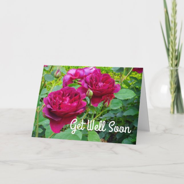 Get Well Soon Darcey Bussell Rose #2 Card (Front)