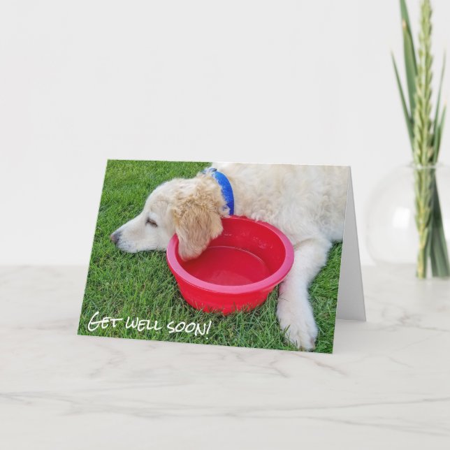 get well soon- dog with red water bowl card (Front)