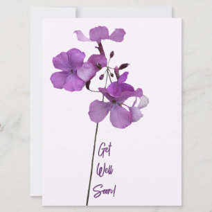 Get well soon elegant purple flowers fine art  holiday card