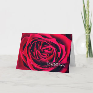 Get Well Soon For Anyone Beautiful Rose Close Up Holiday Card