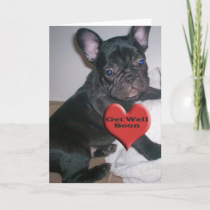 Get Well Soon French Bulldog Card