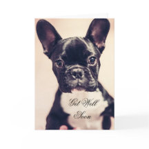 Get Well Soon French Bulldog dog greeting card