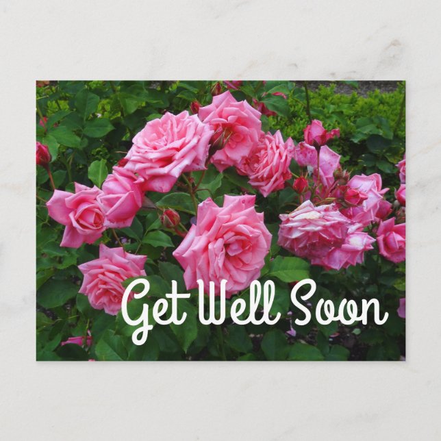 Get Well Soon Gene Boerner Rose #2 Postcard (Front)