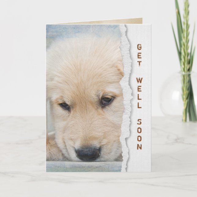 Get Well Soon golden retriever puppy Card (Front)