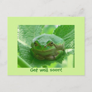 Get well soon - green frog with smile postcard