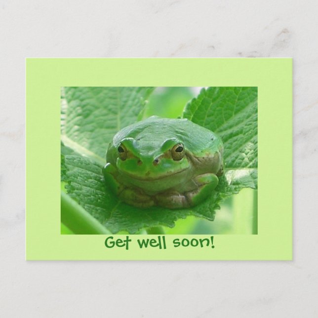Get well soon - green frog with smile postcard (Front)