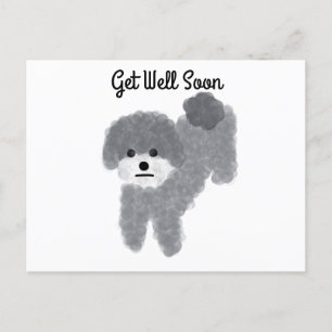 Get Well Soon Grey Poodle #2 Postcard