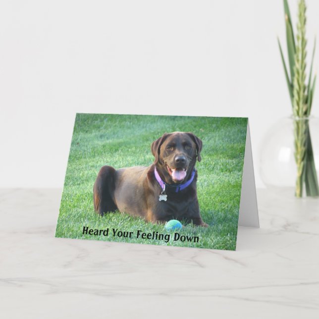 Get Well Soon Labrador Retriever Greeting Card (Front)