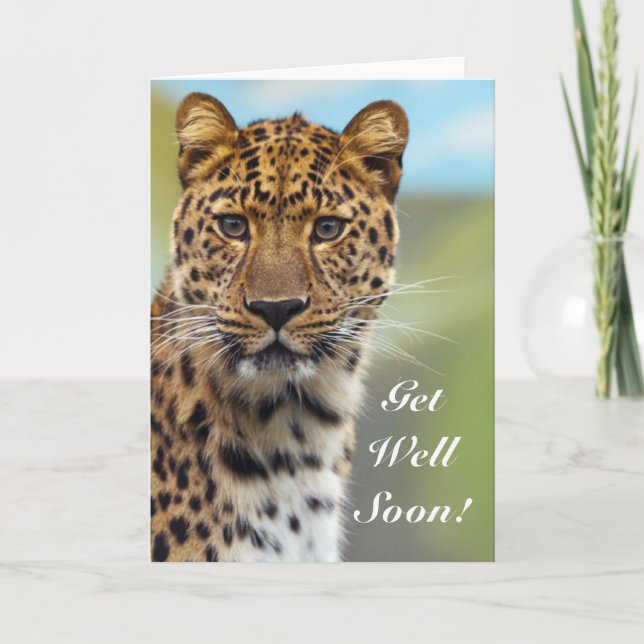 Get Well Soon Leopard greeting card (Front)