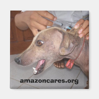 Get Well Soon!  Magnet