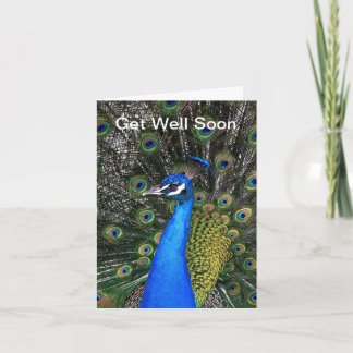 Get Well Soon - Peacock Card